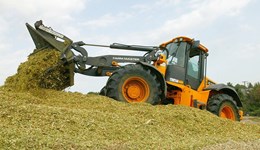 Harvesting, ensiling and feeding maize
